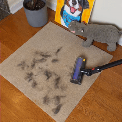 TOEBEAN™ Pet Carpet