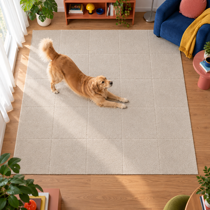 TOEBEAN™ Pet Carpet